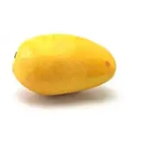 Tropical mango