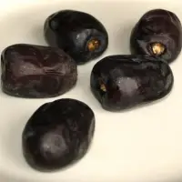 Mozafati Dates