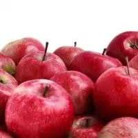 Fresh Apple