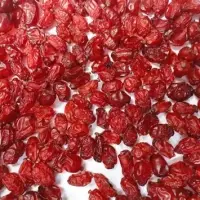 Dried Barberry