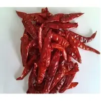 Red Chili