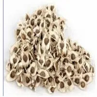 Moringa Seeds