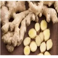 Ginger
