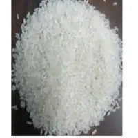 Sona Masoori Steam Rice