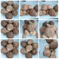 Dehusked Coconut