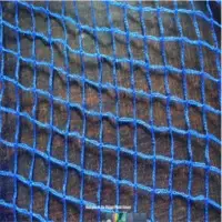 Bird Net