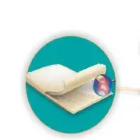 Orthopaedic Heat Belt