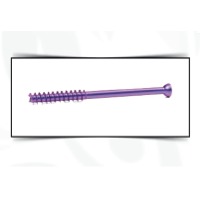 6.5mm Cannulated Screw 32mm Threaded