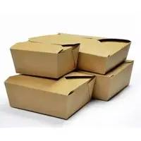 Fast Food Packaging Box