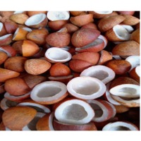 Dry Coconut