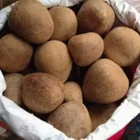 Dry Coconut