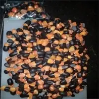Afzelia Africana Seeds