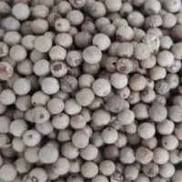Pepper