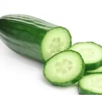 Green Cucumber