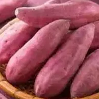Fresh Sweet Potato