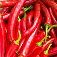 Red Chilli