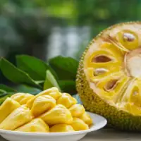 Jackfruit