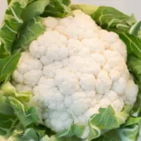 Cauliflower