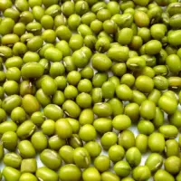 Green Mung Bean