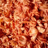 Dried Jasmine