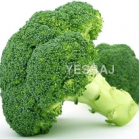 Broccoli