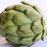 Artichokes