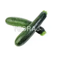 Zucchini