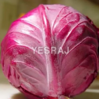 Red Cabbage