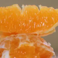 Orange Pulp