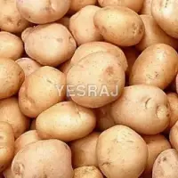 Organic Potatoes