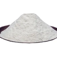 Dehydrated White Onion Powder