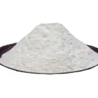 Dehydrated White Onion Powder