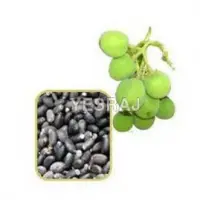 Tropical Fruit Seeds
