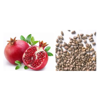 Punica Granatum