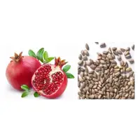 Punica Granatum