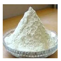 Onion Spray Dried Powder