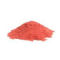 Carrot Spray Dried Powder
