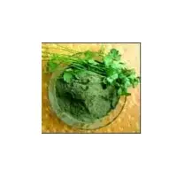 Coriander Spray Dried Powder