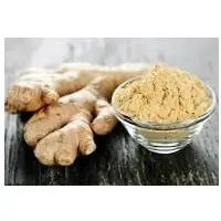 Ginger Spray Dried Powder