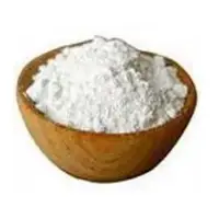 Garlic Spray Dried Powder