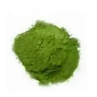 Spinach Spray Dried Powder