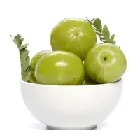 Spray Dried Amla Powder