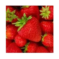 Spray Dried Strawberry Powder