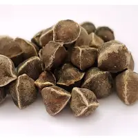 Moringa Seed