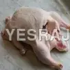 Duck Meat