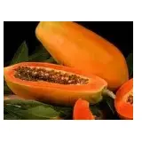 Spray Dried Papaya Powder