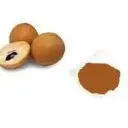 Spray Dried Sapota Powder