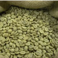 Green Coffee Bean
