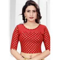 Fancy Designer Printed Blouse
