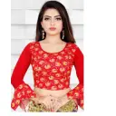 Fancy Designer Printed Blouse